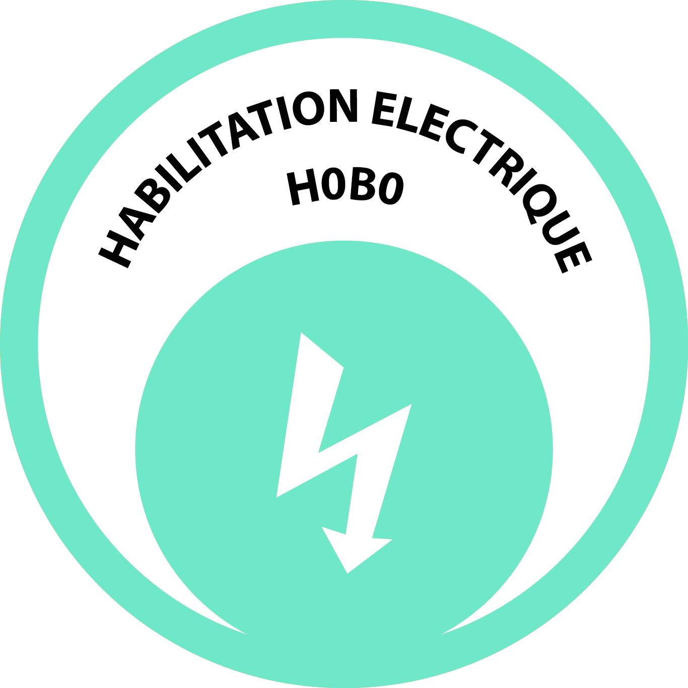 habilitation électrique